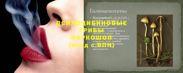 трава Алексин