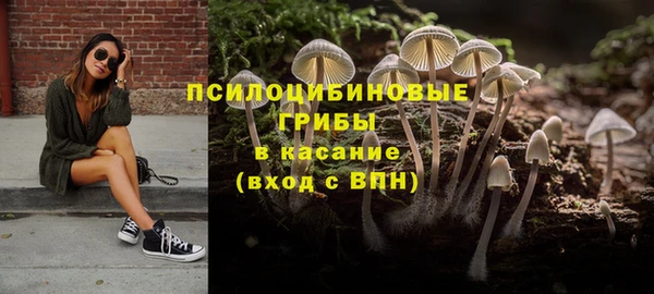 трава Алексин