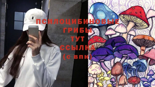 прущая мука Алзамай