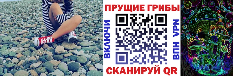 Галлюциногенные грибы Psilocybine cubensis Хвалынск